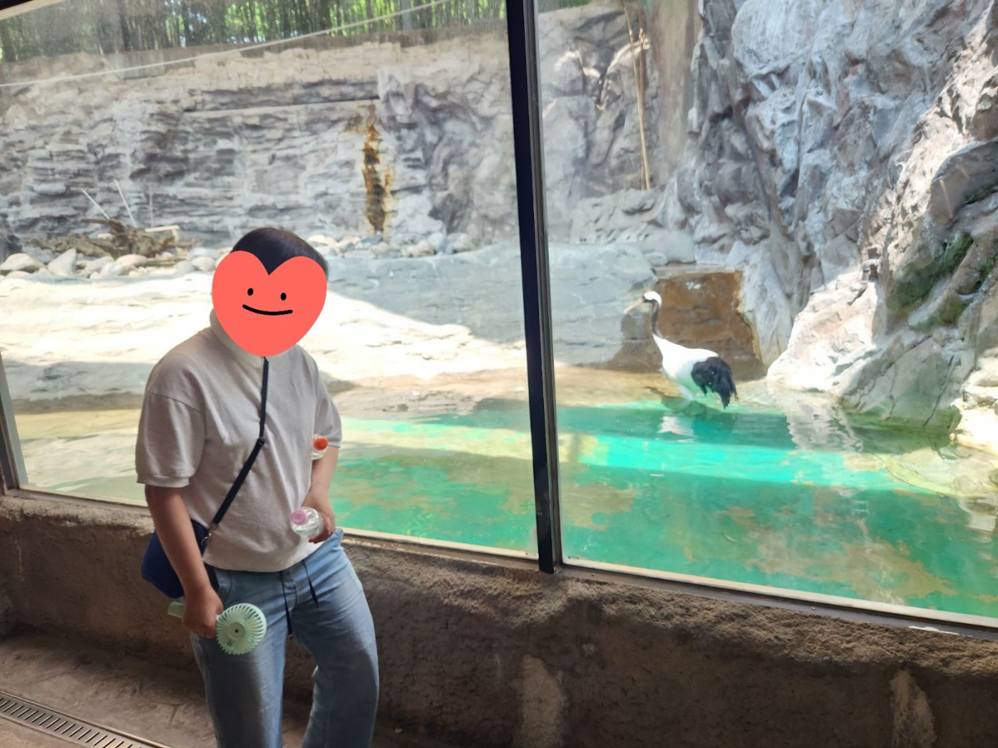 1782693437.68TzHXrclVFBKakaoTalk_20260626_082535529_01.jpg