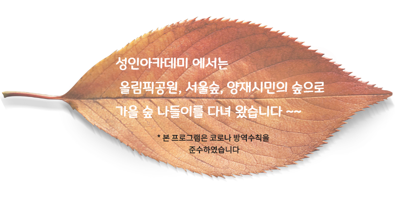 5396_1604018980_0.png